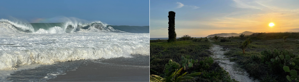 On the left, large powerful ocean waves crashing on a sandy beach in Puerto Escondido under a clear blue sky. On the right, a sandy footpath through coastal scrubland with prickly pear cactus and a vine-covered column at sunset, hills in background.