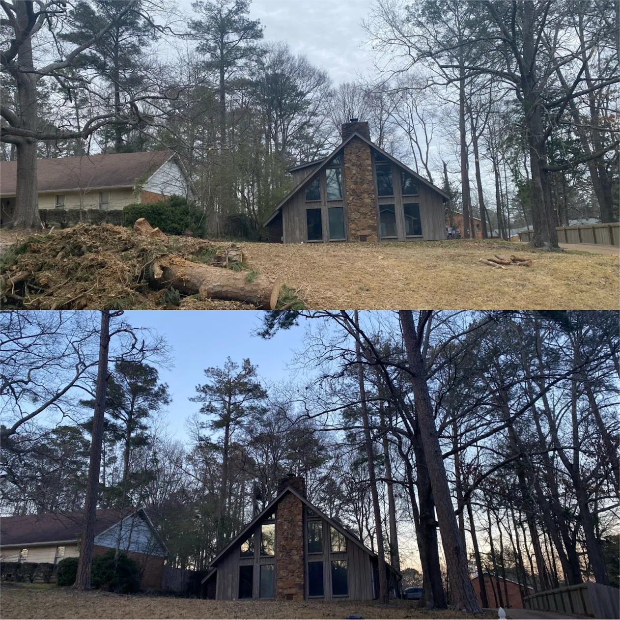 Tree Removal