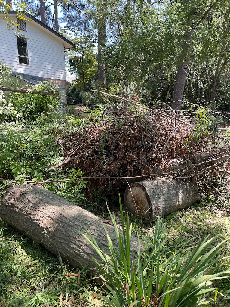 Kips Tree Service work photo 3