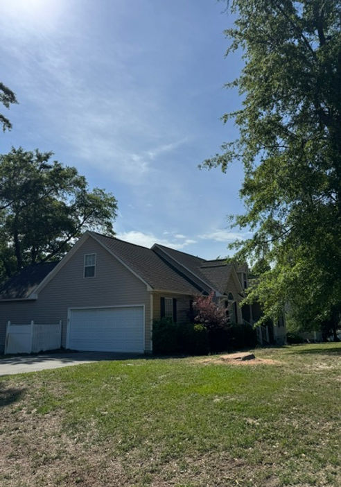 After tree removal — clean yard, tree fully gone