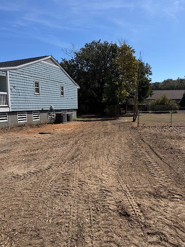 After — tree fully removed, lot cleared