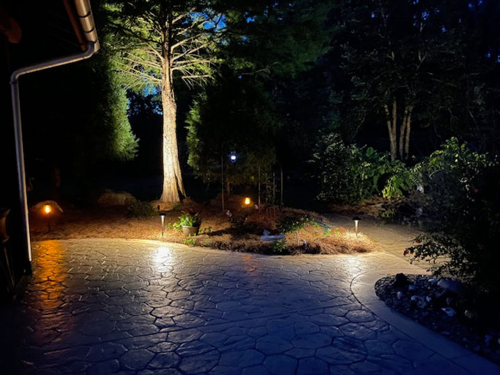 Low voltage landscape lighting — illuminated driveway and trees at night
