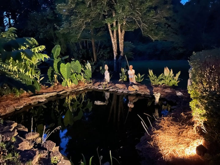 Low voltage lighting — pond and garden lit up at night