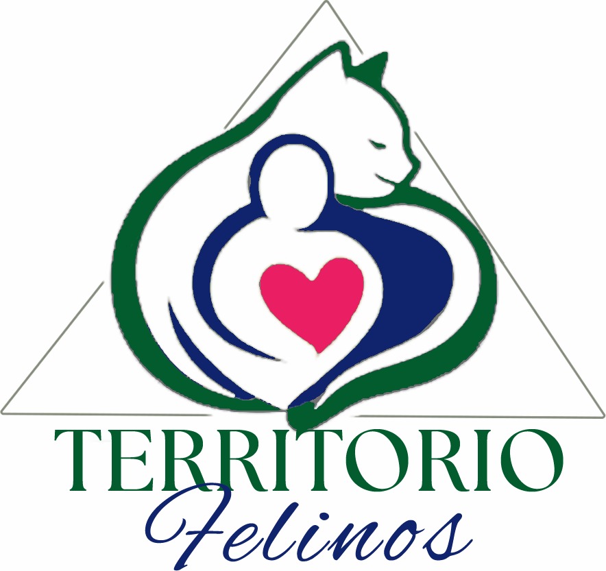 Carmen business logo
