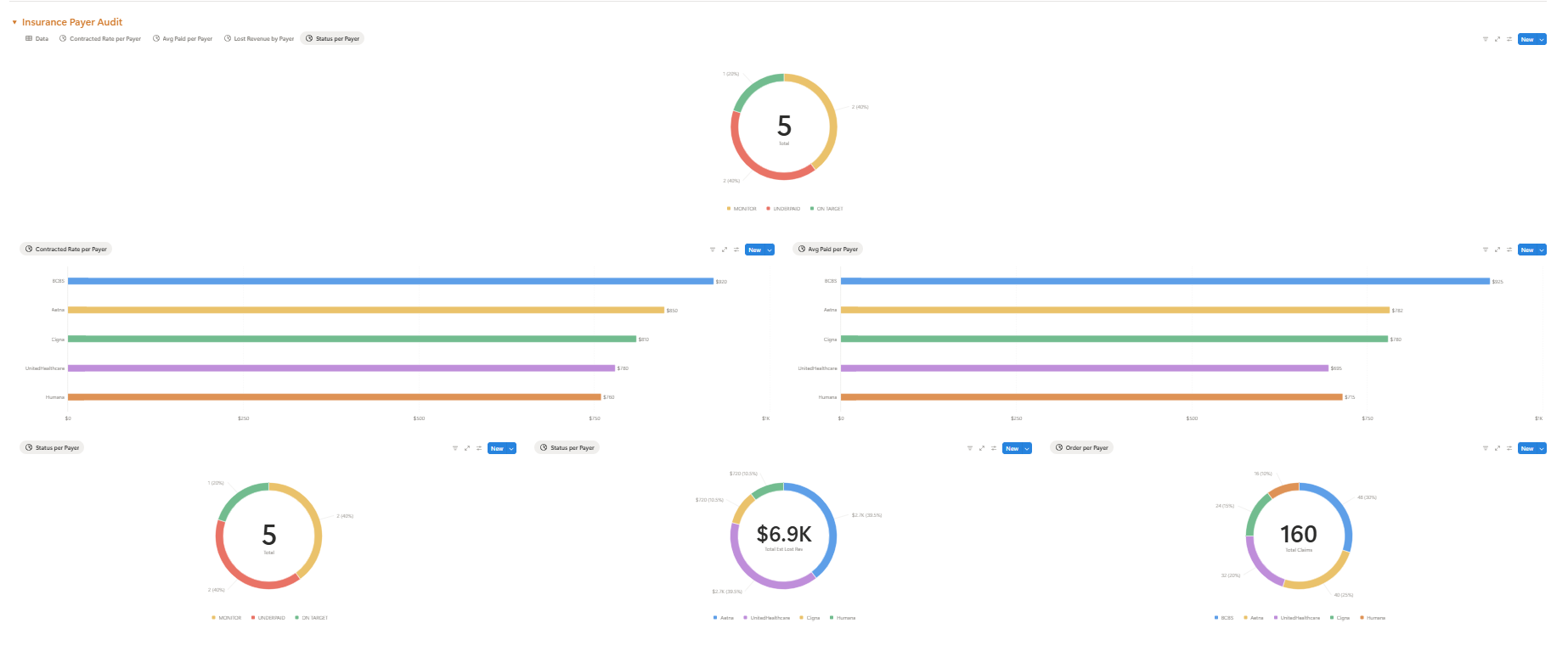 Insurance Payer Audit
