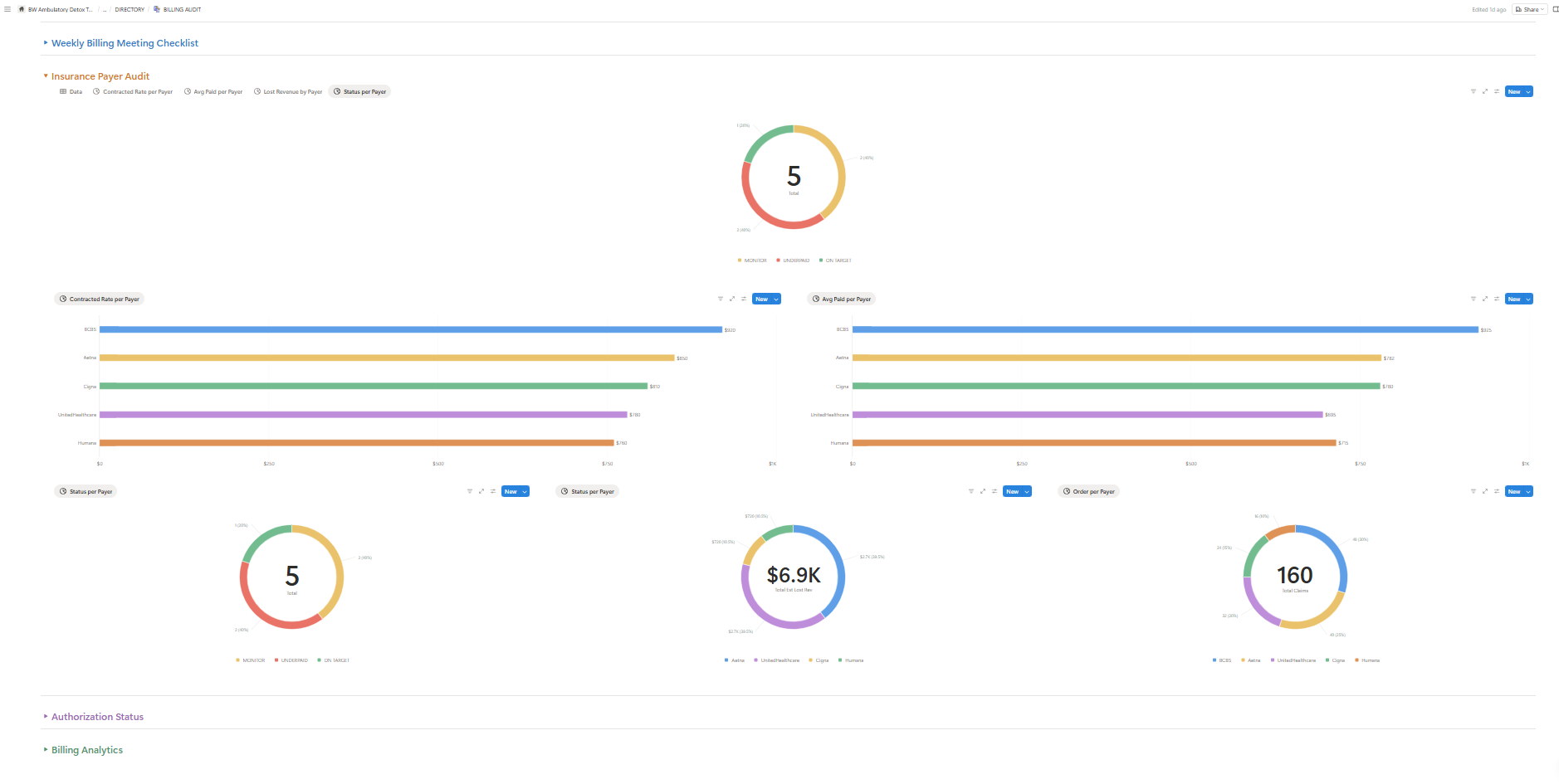 Insurance Payer Audit