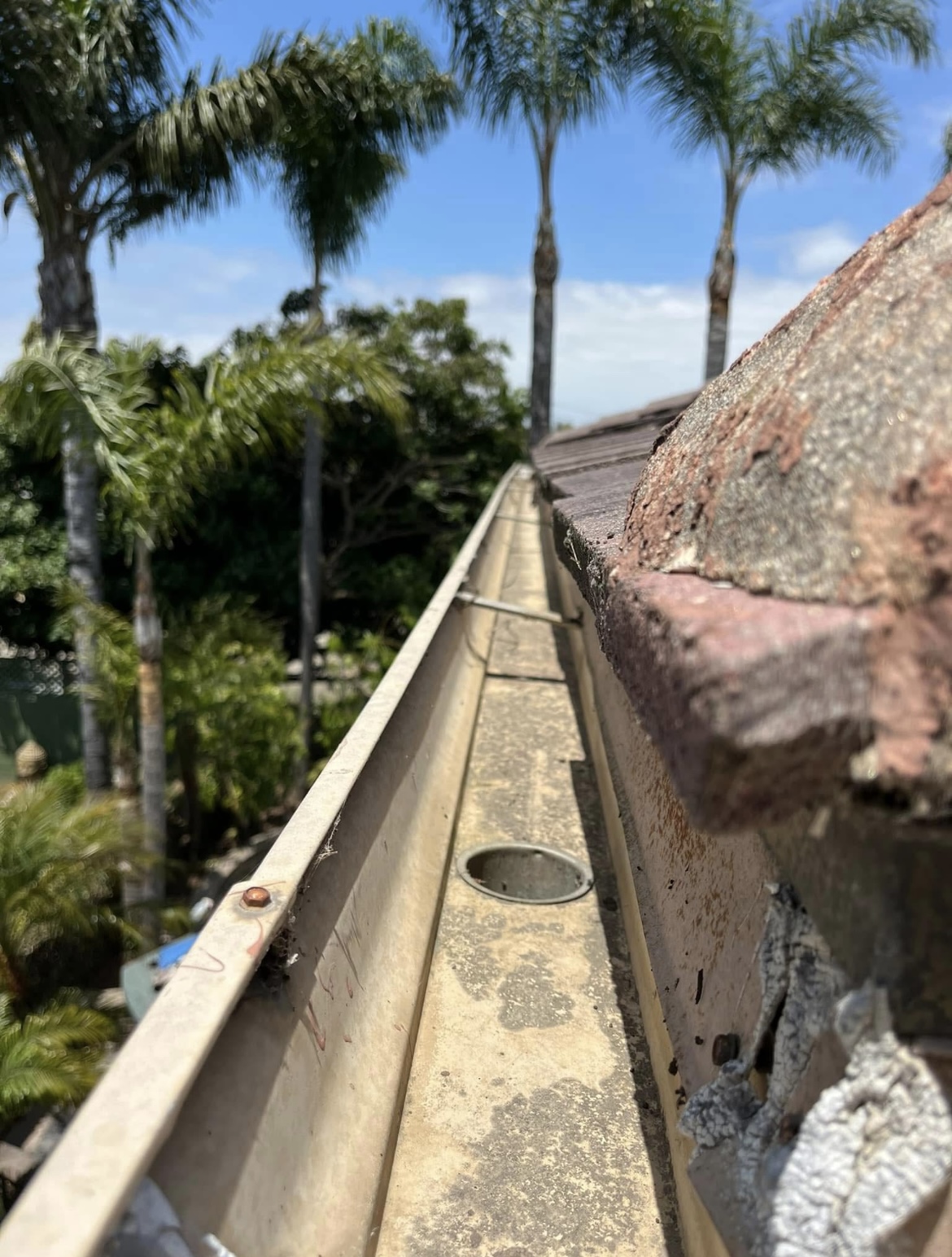 Professional gutter cleaning in Huntington Beach Orange County