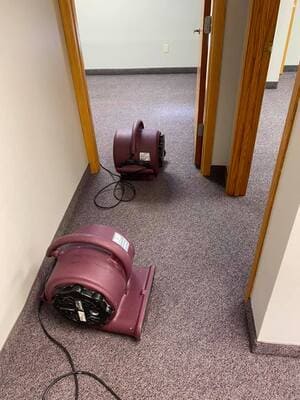 {{ custom_values.service_4 }} in {{custom_values.area_1})