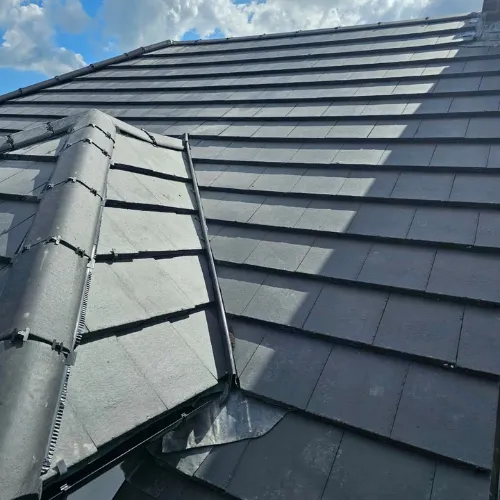 Recent roof project