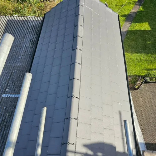 Recent roof project