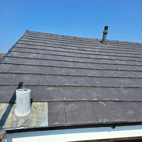Recent roof project
