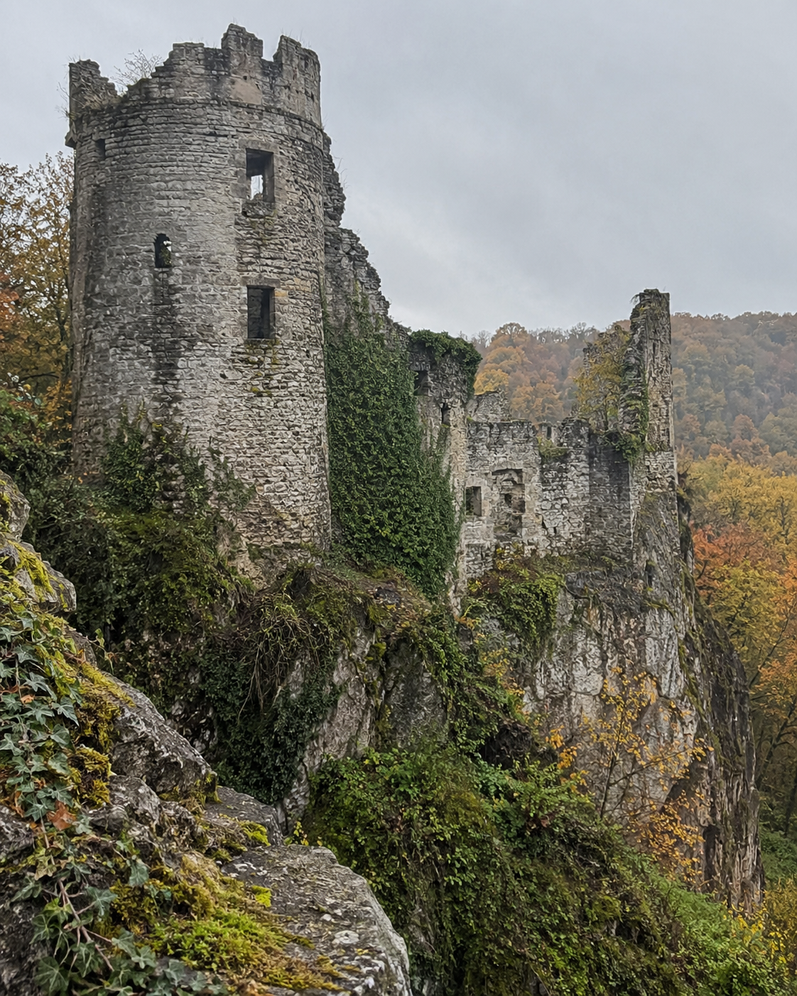 Railbikes through the Molignée valley
