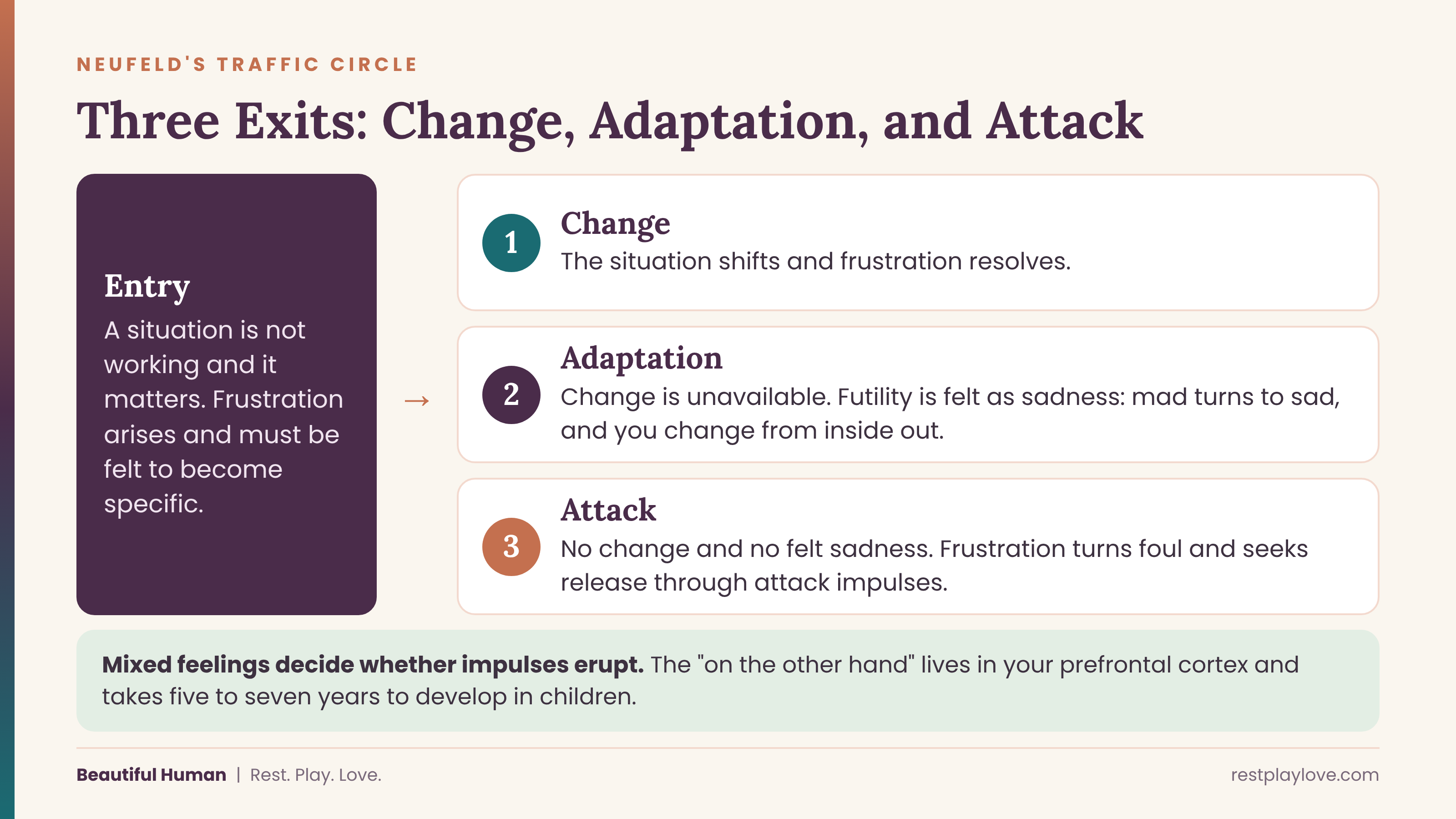Neufeld's traffic circle: change, adaptation, and attack Neufeld's traffic circle: change, adaptation, and attack
