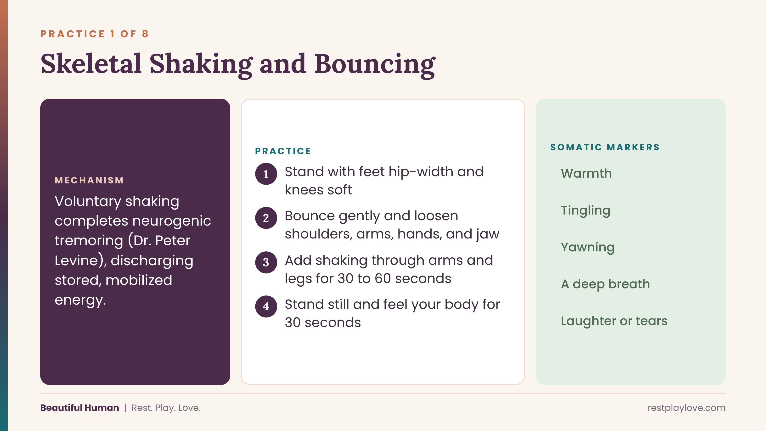 Practice 1: Skeletal shaking and bouncing Practice 1: Skeletal shaking and bouncing
