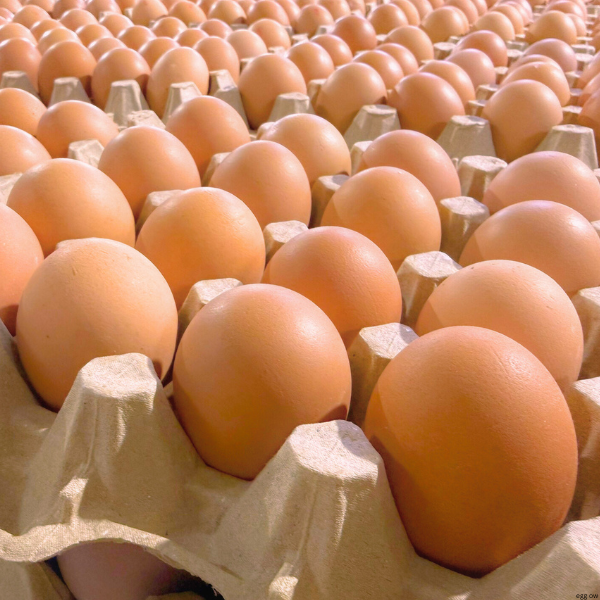 Overweight Eggs