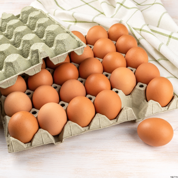 30 Egg Tray