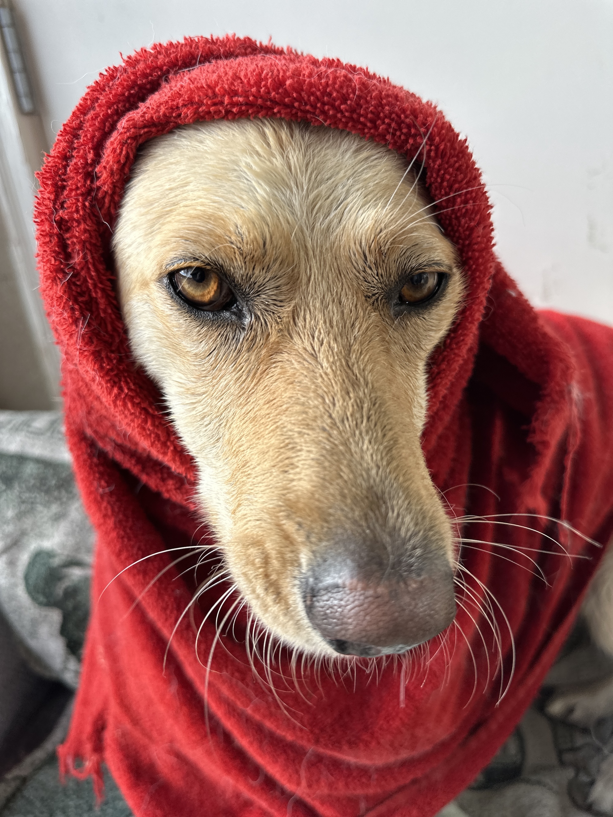 Millcreek Bath & Brush