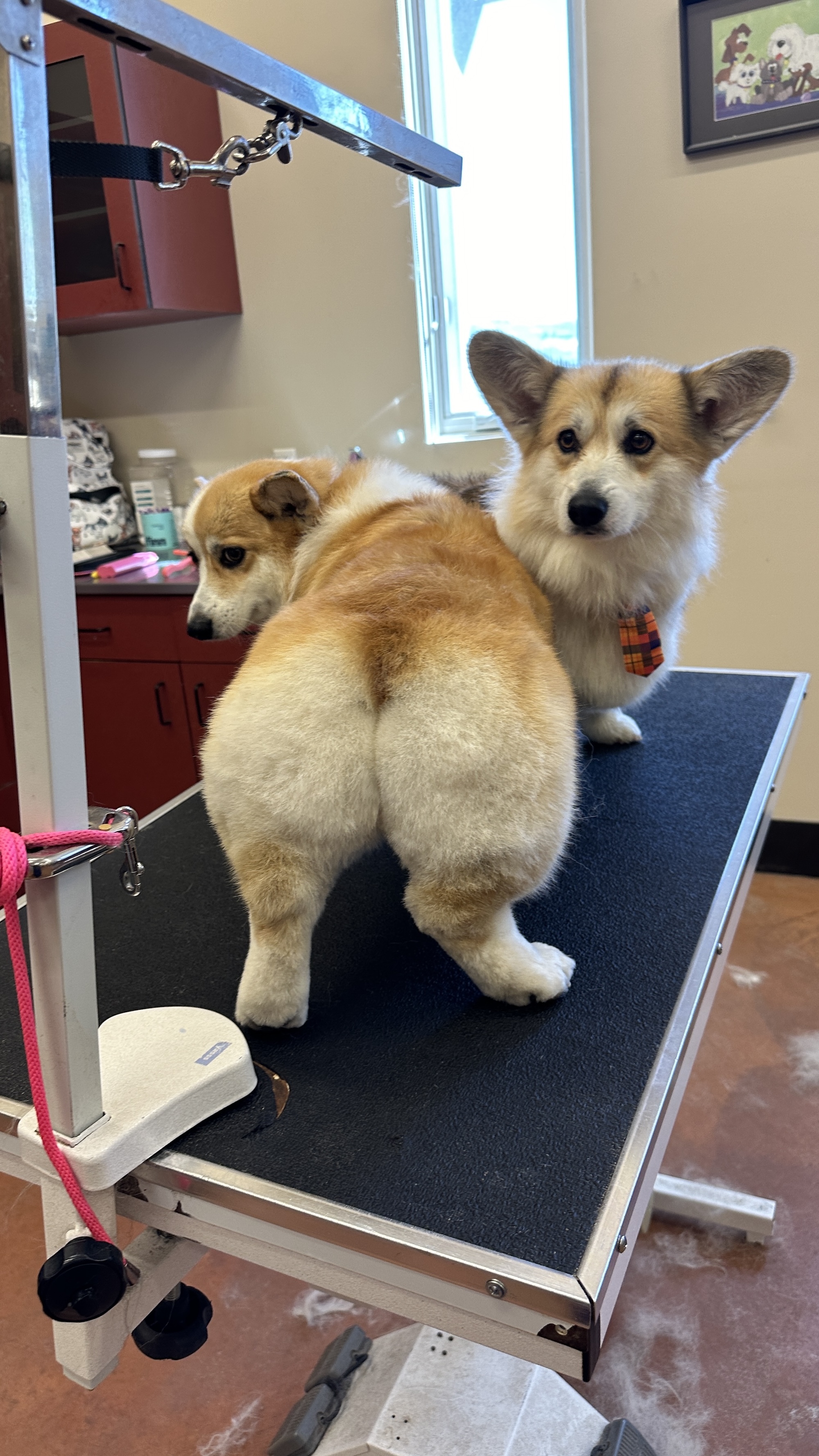 Millcreek Additional Services