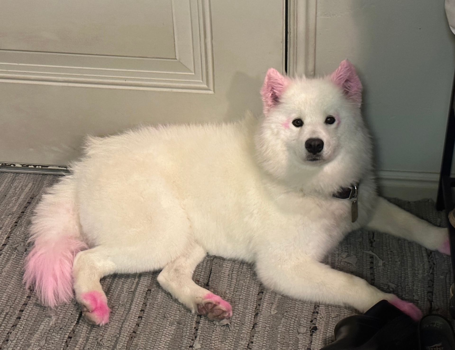 Additional Services in Murray