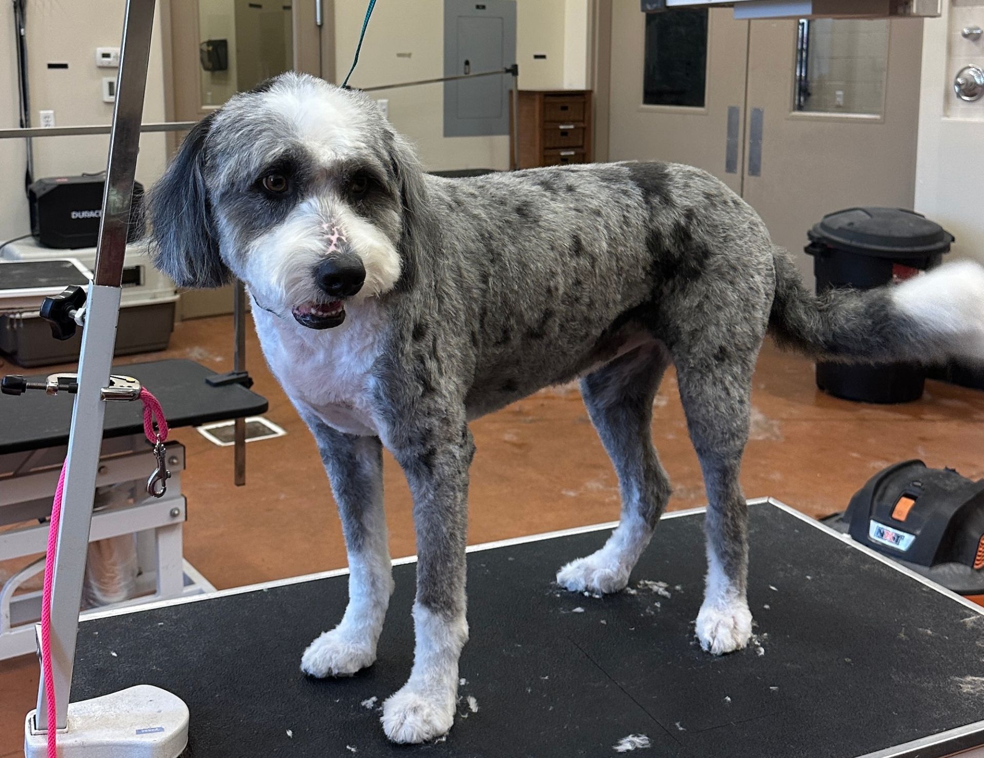 {{ custom_values.service_1 }} in {{custom_values.biz_area_1})