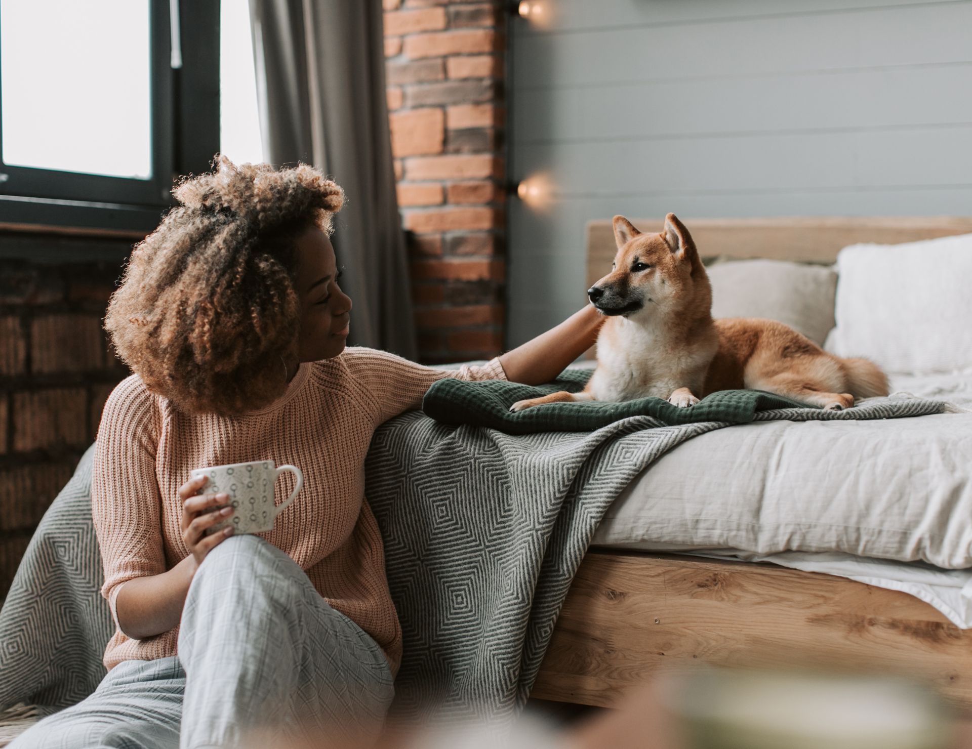 Pet Boarding in Murray