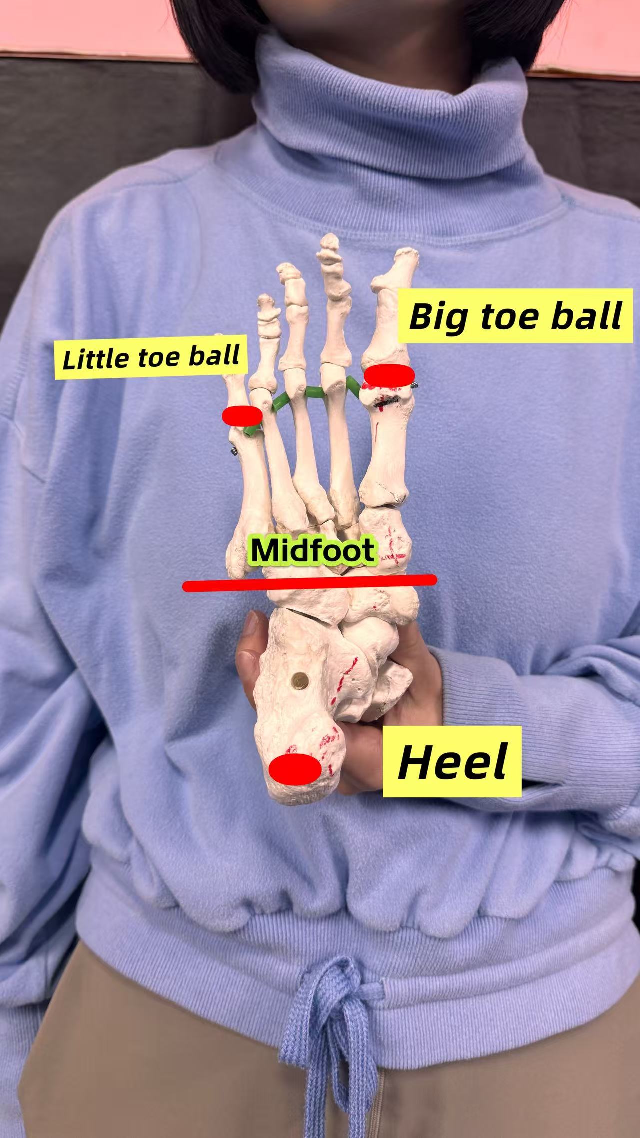 Picture of heel and it's part Picture of heel and it's part