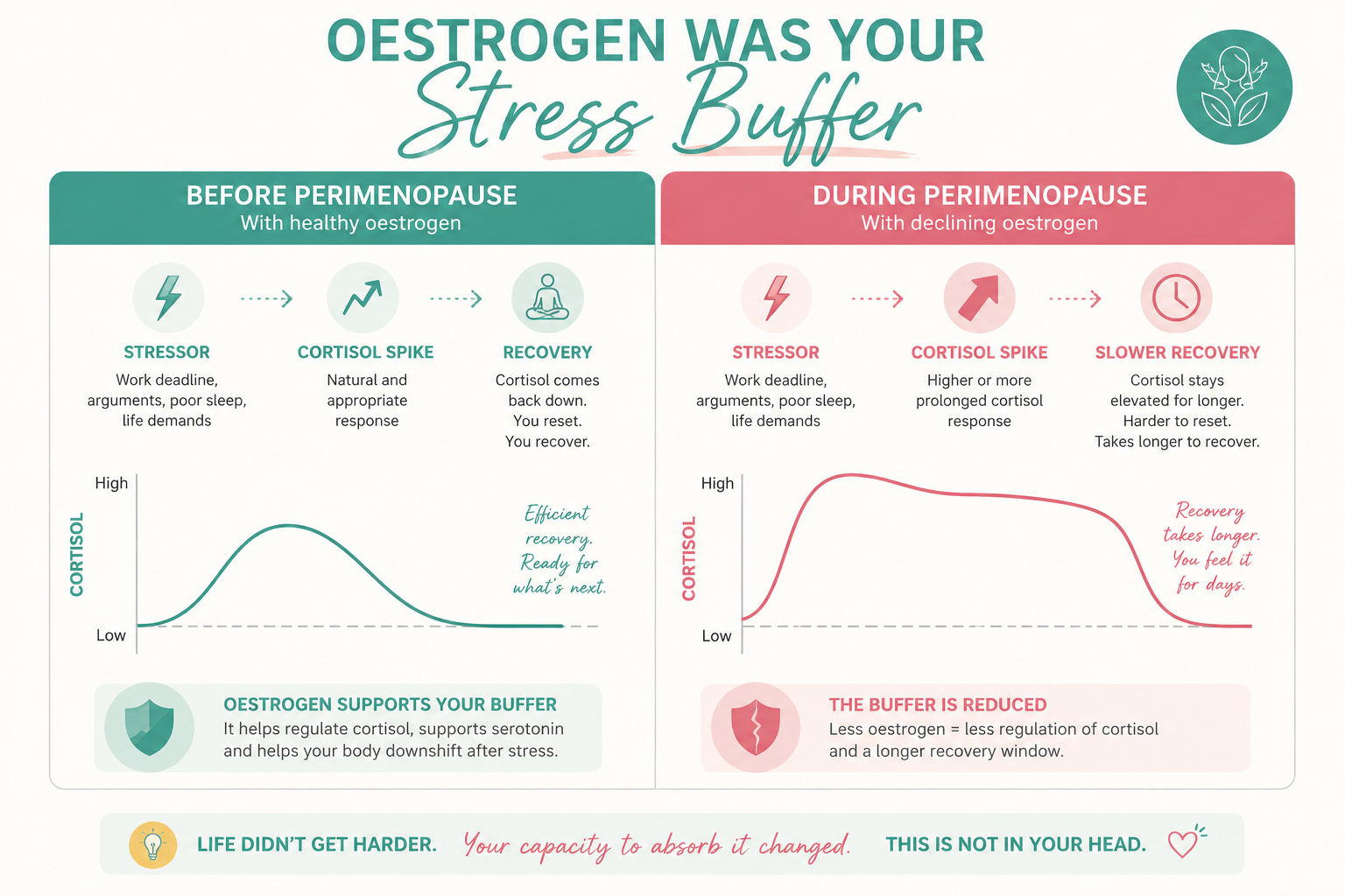 The Hormonal Buffer Concept Educational graphic The Hormonal Buffer Concept Educational graphic
