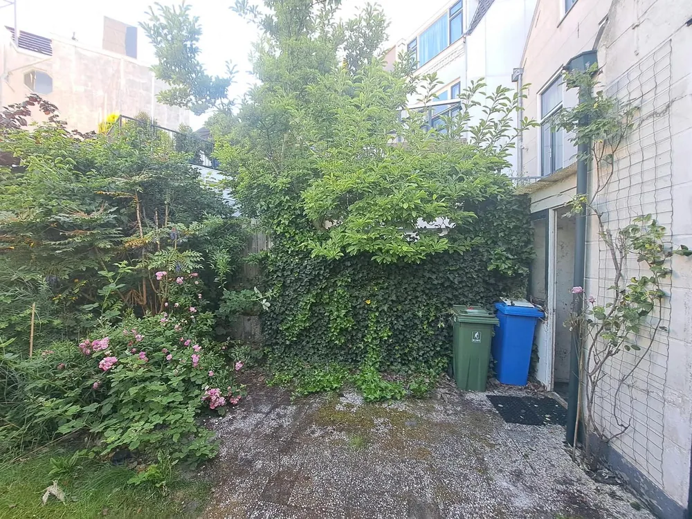 Tuinmuur vol begroeiing voor de reparatie in de regio Rotterdam