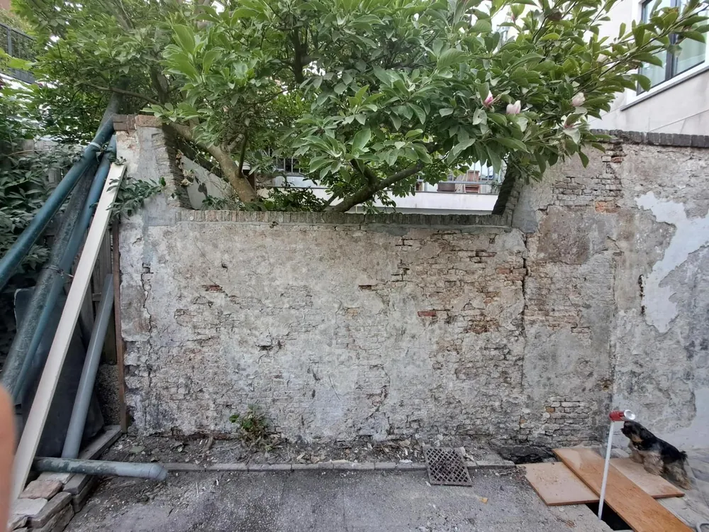 Aangetaste tuinmuur na het verwijderen van de begroeiing in de regio Rotterdam