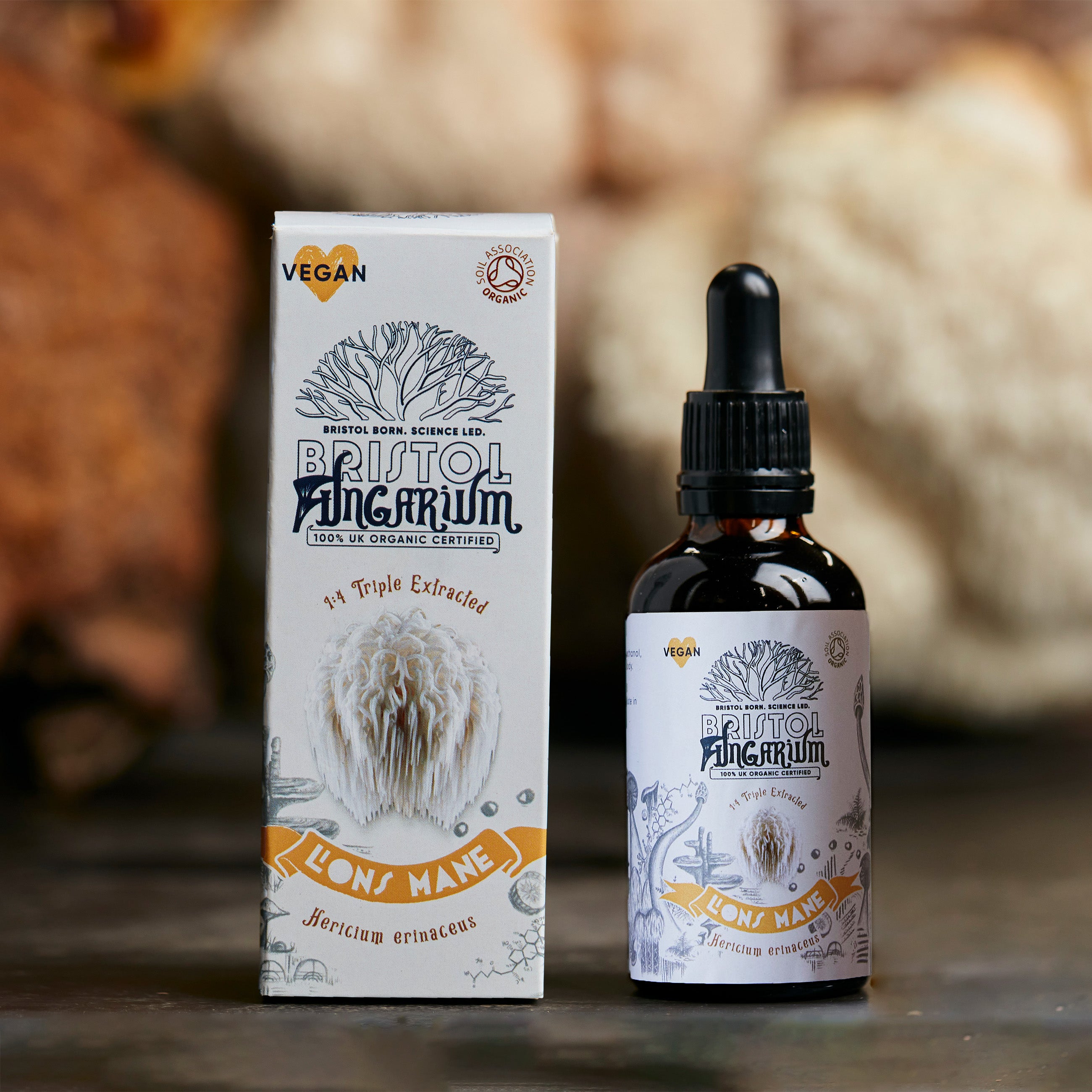 Bristol Fungarium Lion's Mane Tincture