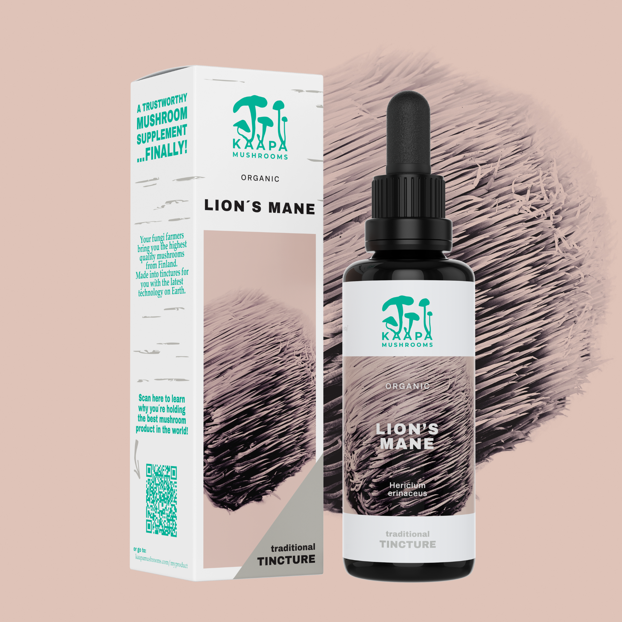 KAAPA Organic Lion's Mane Mushroom Tincture