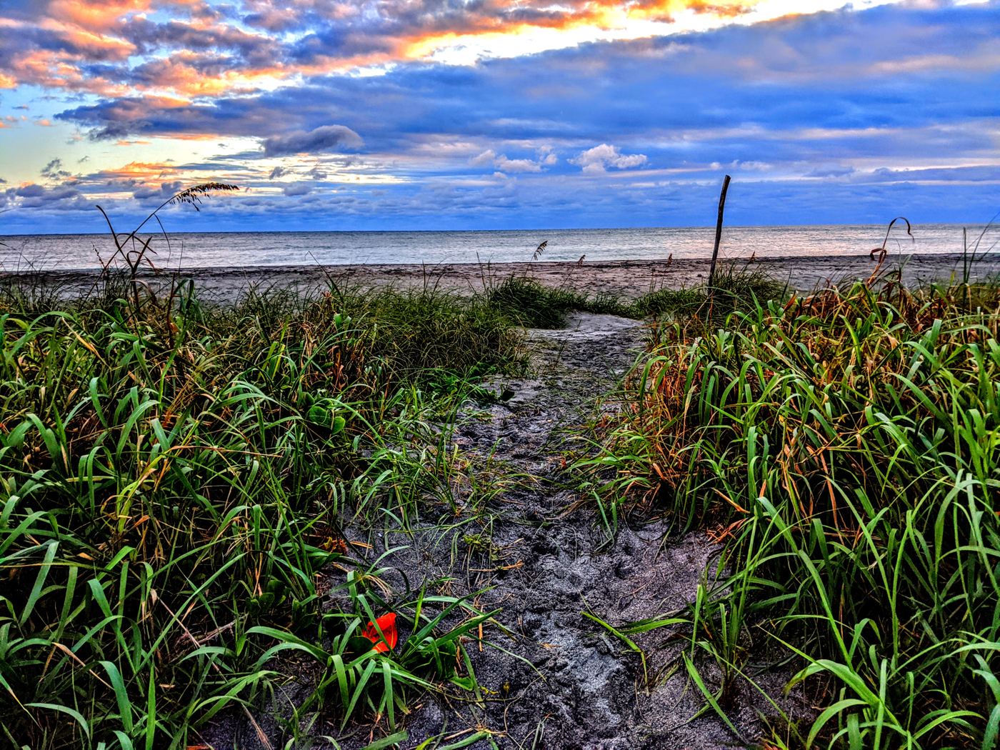Sandy dune path through tall sea oats leading to the ocean under a bright sky