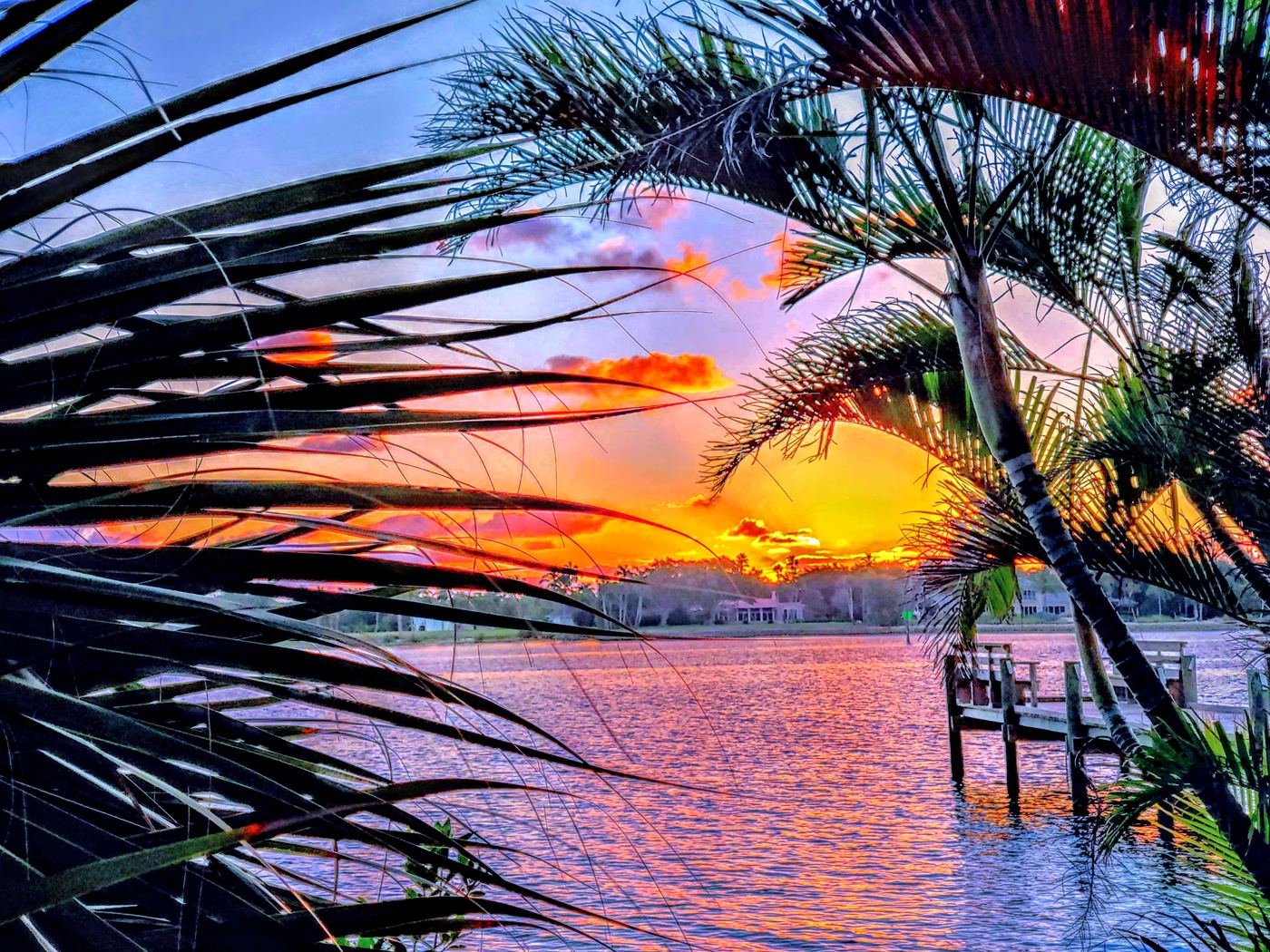 Sunrise glowing through palm fronds over a calm river and wooden dock in South Florida