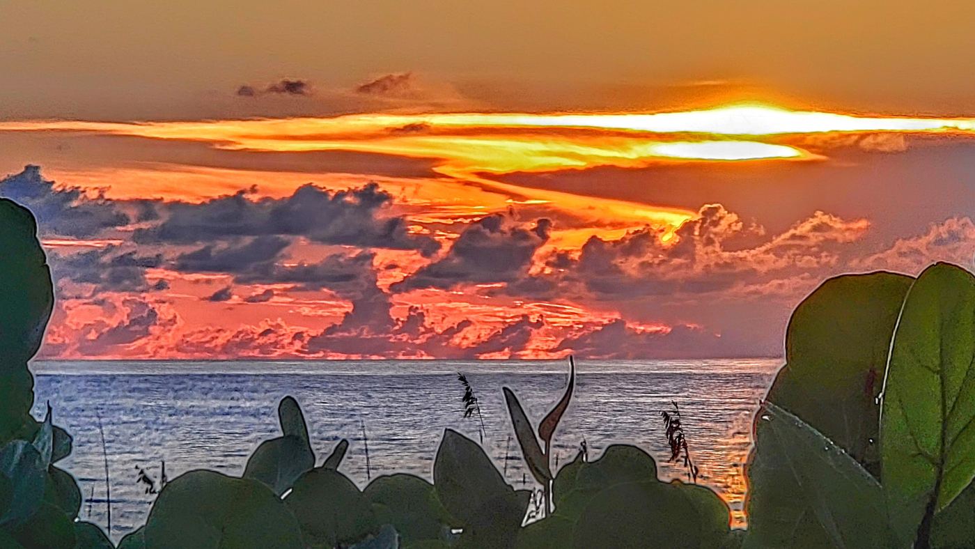 Fiery orange clouds over the Atlantic Ocean framed by sea grape leaves