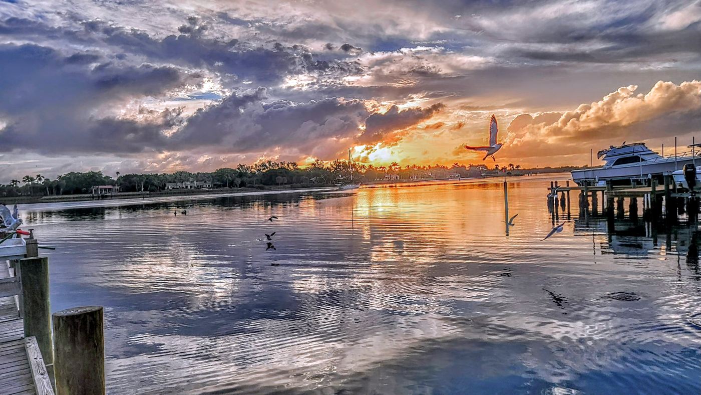 Calm river at sunrise with shorebirds, pilings and a docked yacht reflected in the water