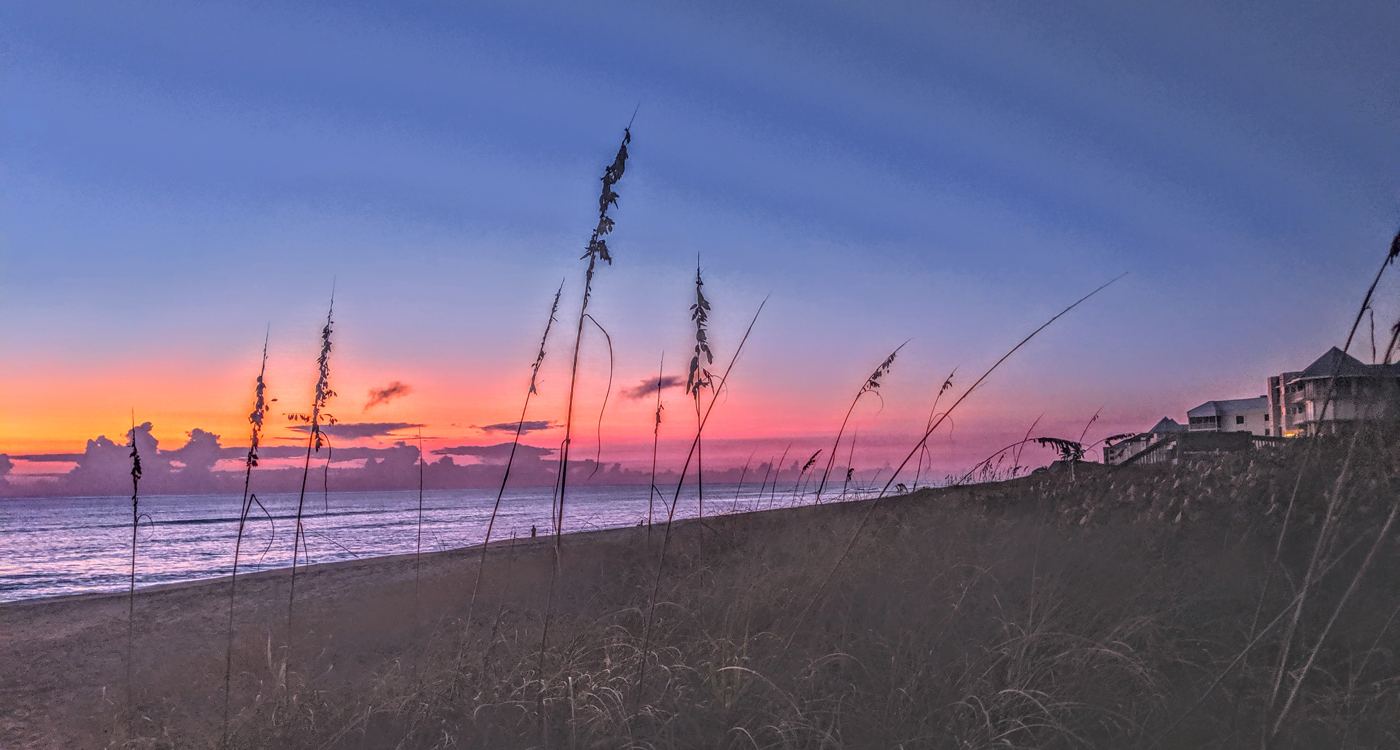 Sea oats silhouetted against an orange dawn sky over a Florida beach