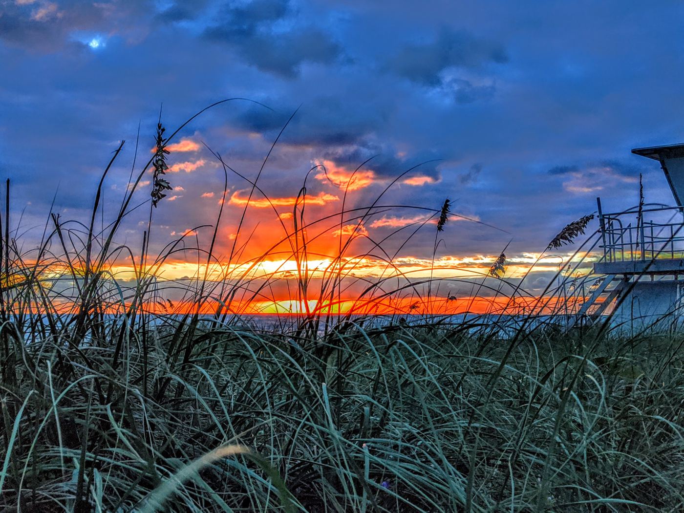 Sea oats backlit by an orange sunrise beside a beach lifeguard tower