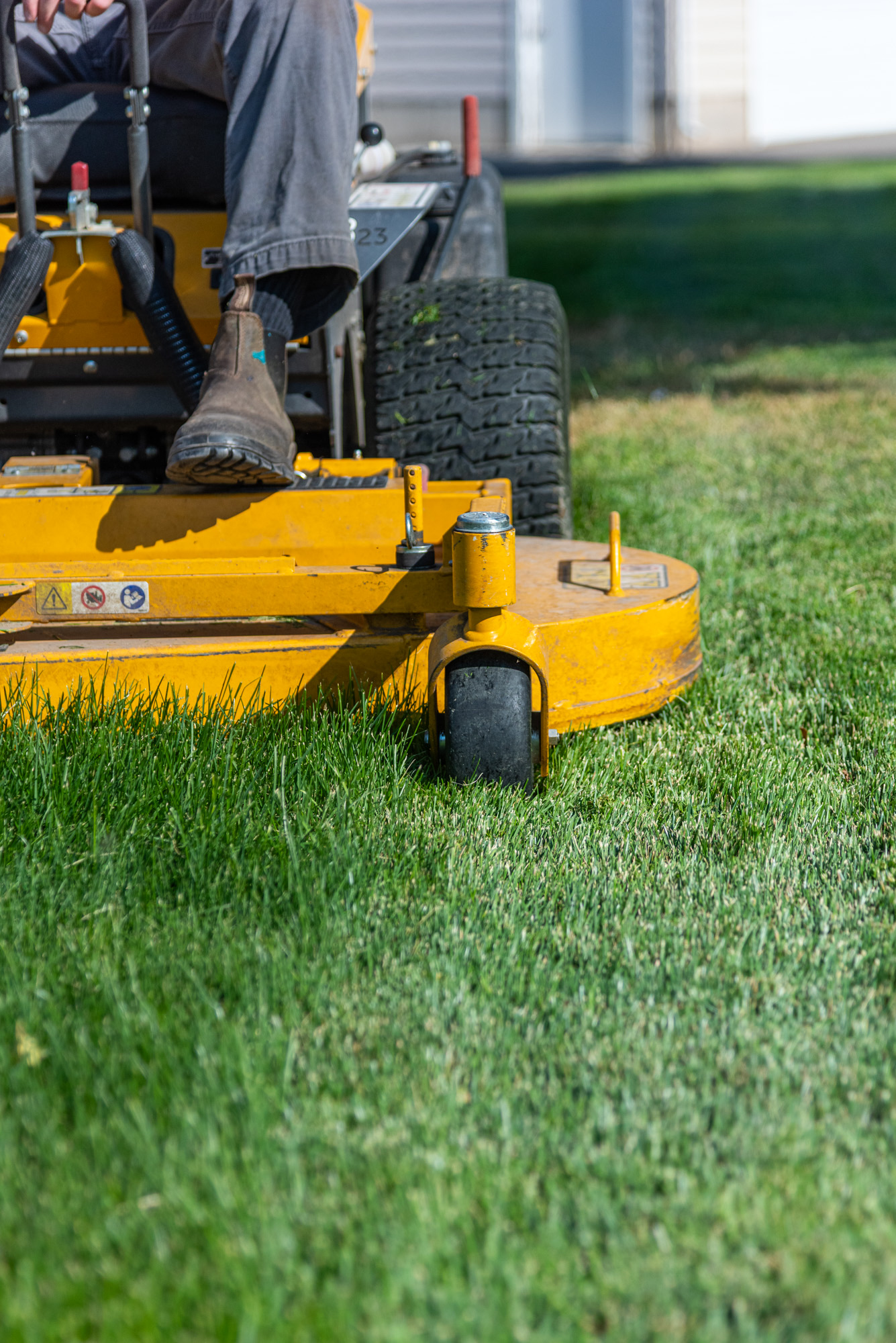 Sod Installation Holladay