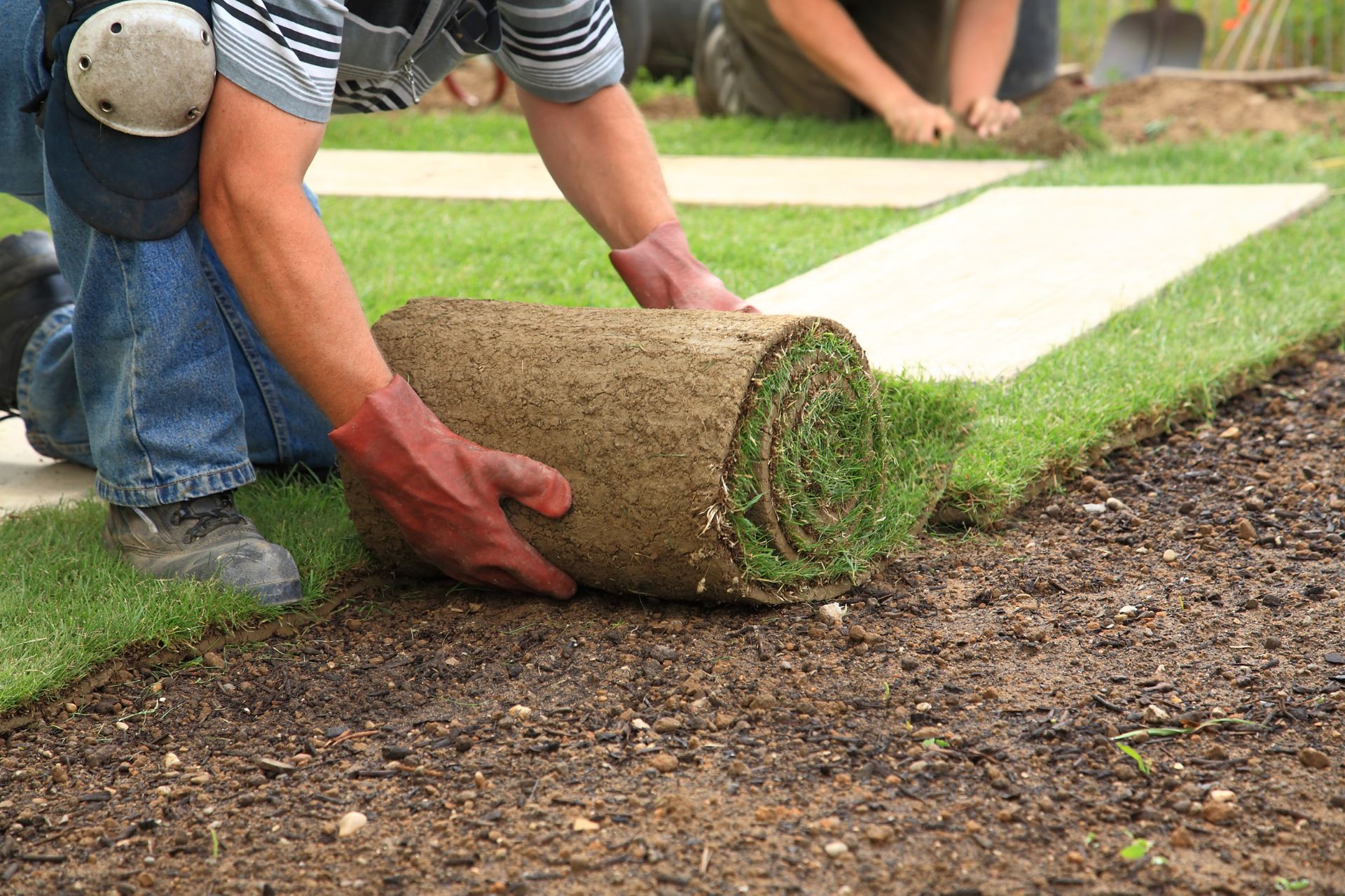 Sod Installation in Holladay