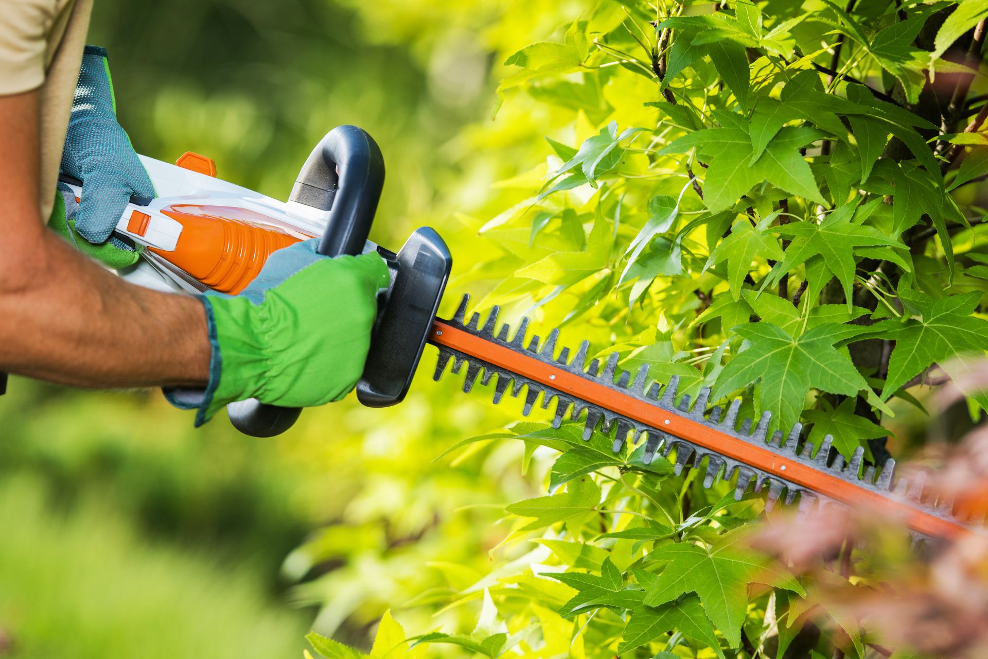  Lawn Maintenance