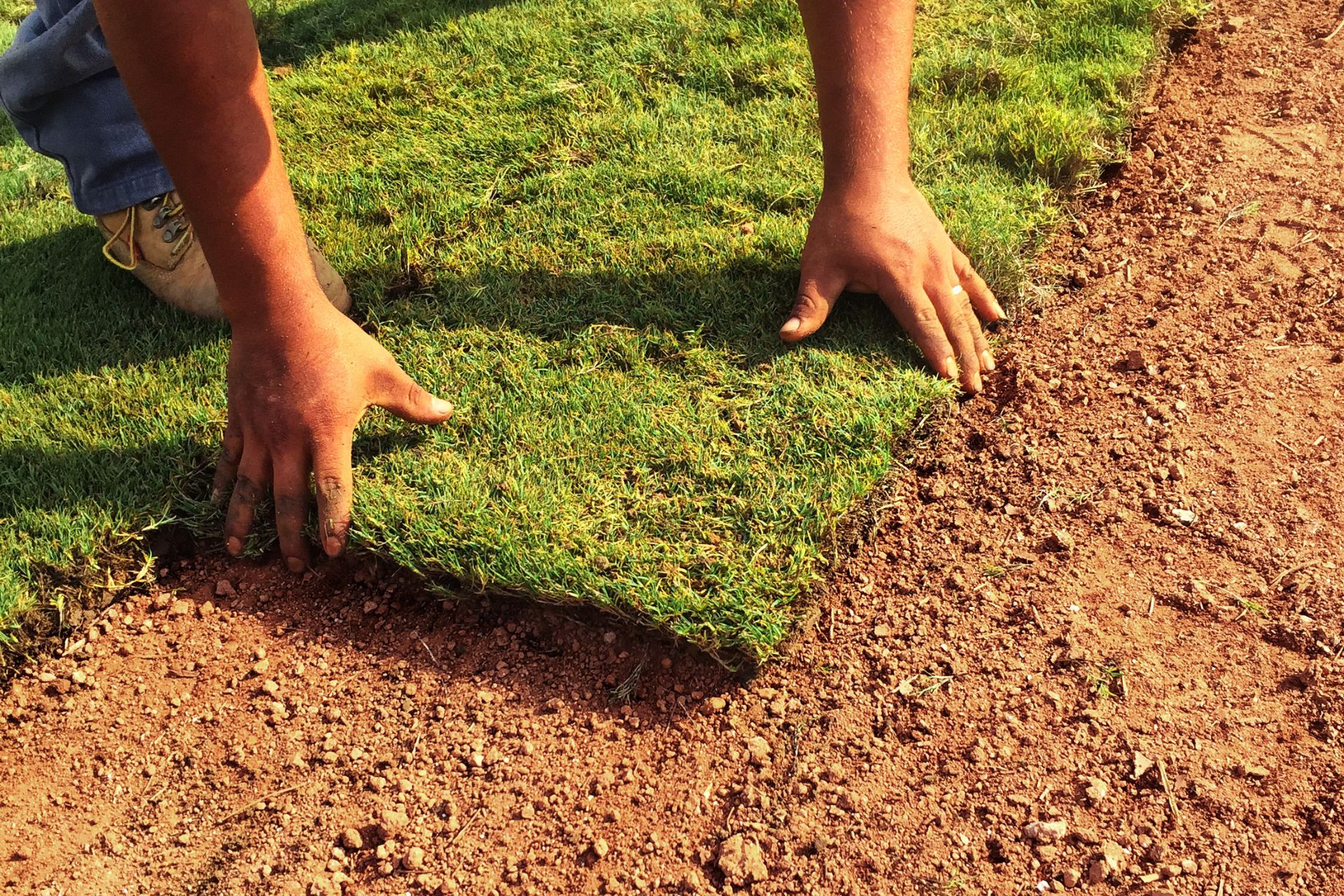 Tooele Sod Installation