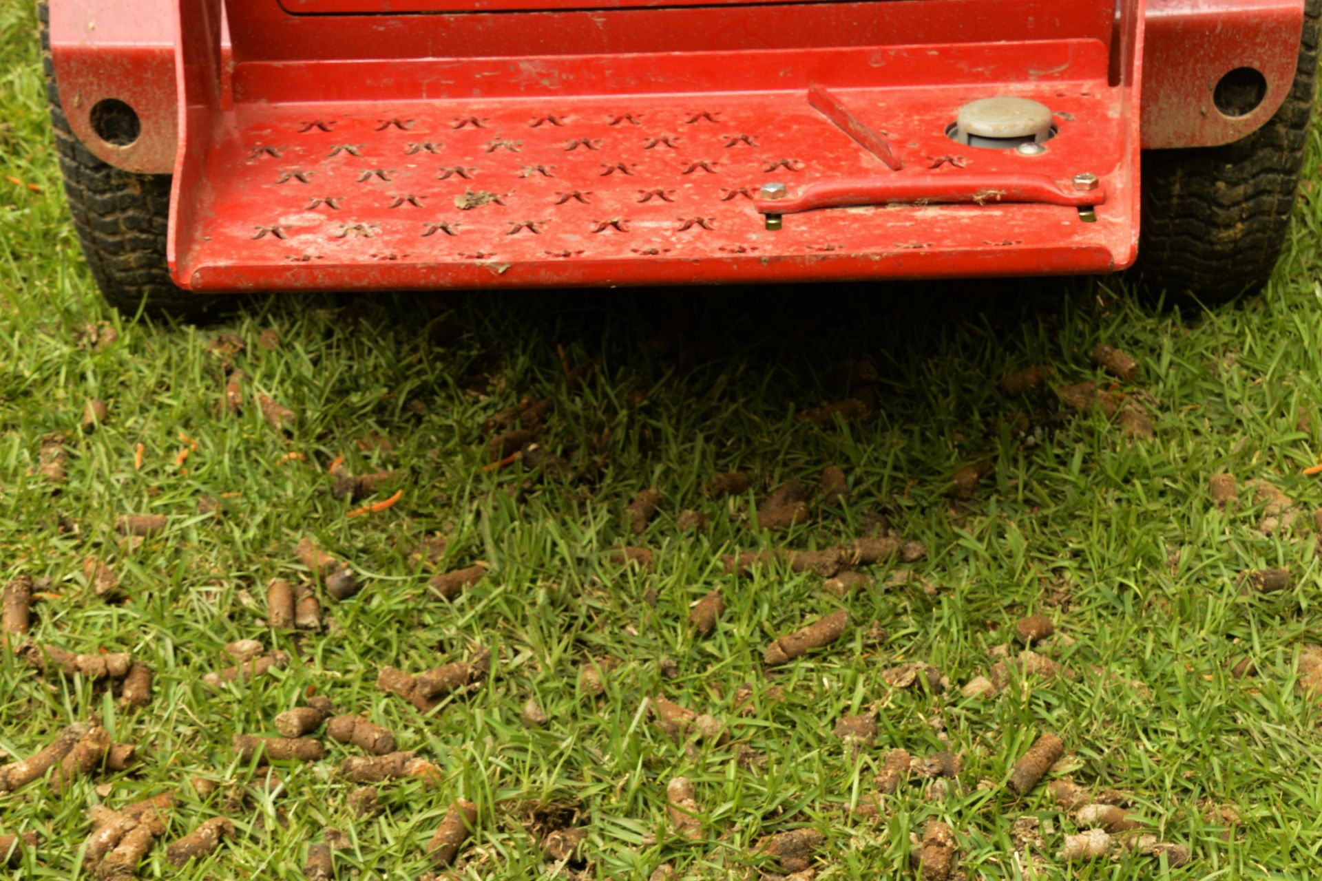 Lawn Maintenance