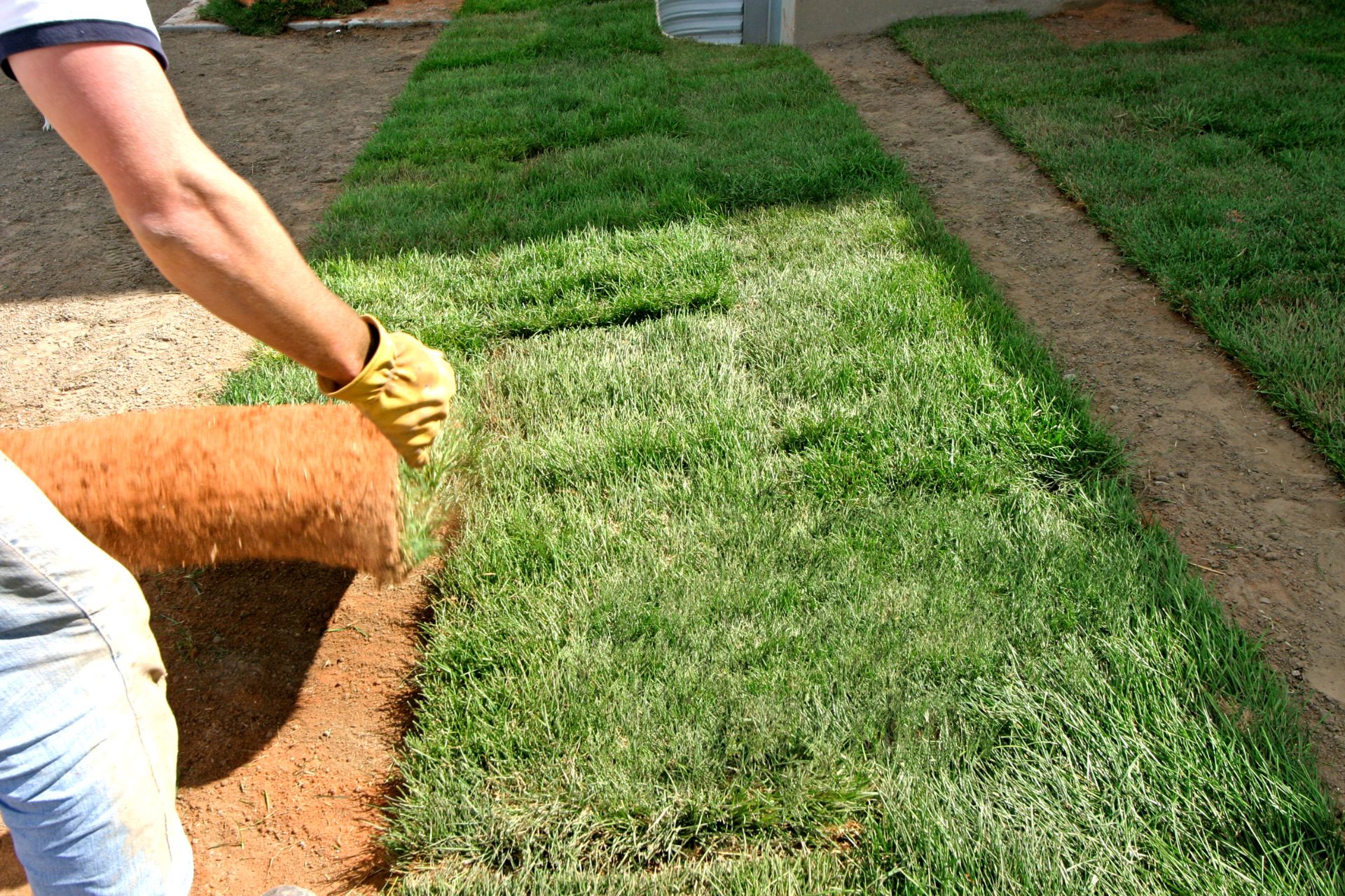  Lawn Maintenance