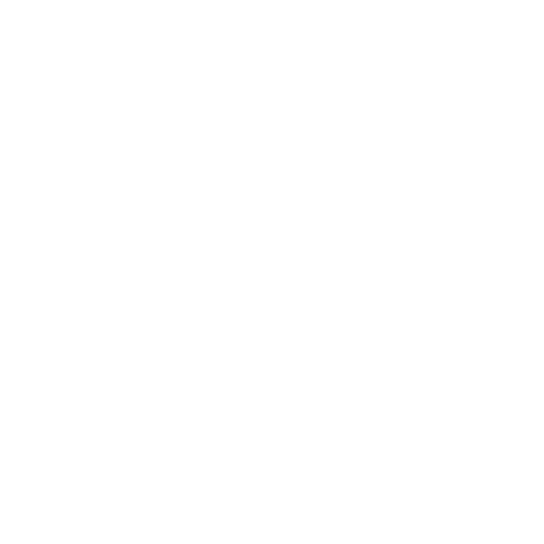 SME-Z White Logo