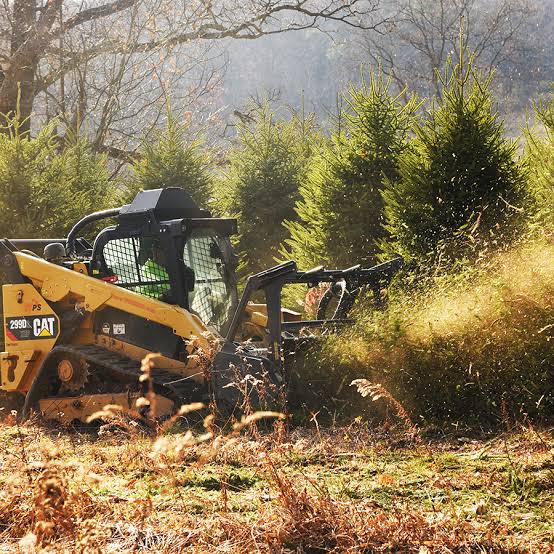 Tree and stump clearing services for properties in Eastern Pennsylvania