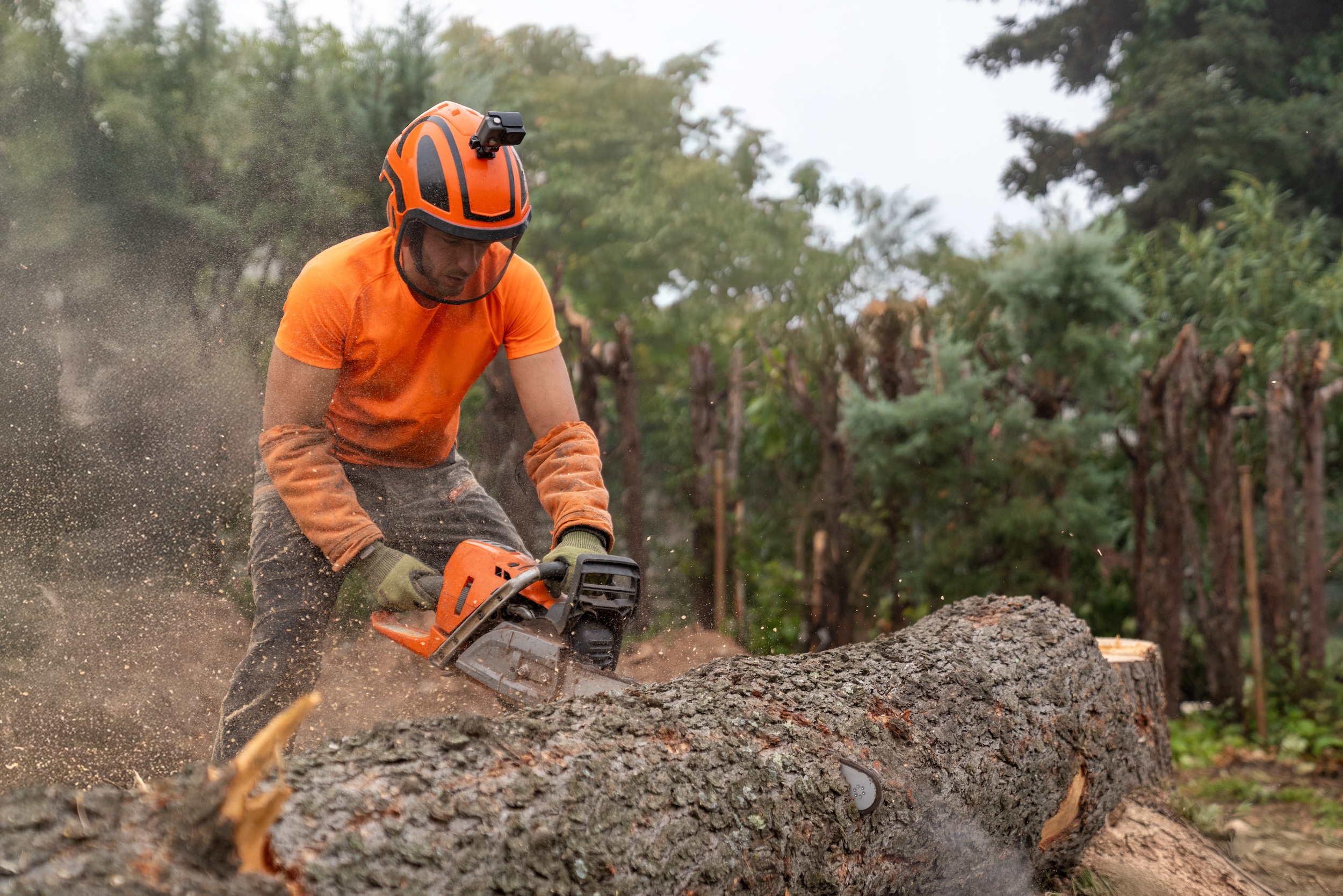 Brush and vegetation clearing services for Eastern Pennsylvania properties