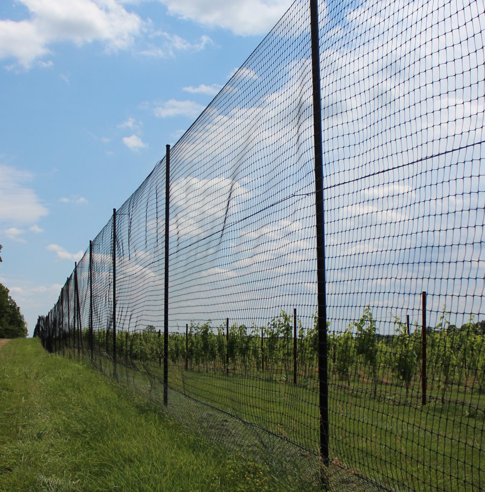 Tall deer fence protecting a garden in Thornton, CO