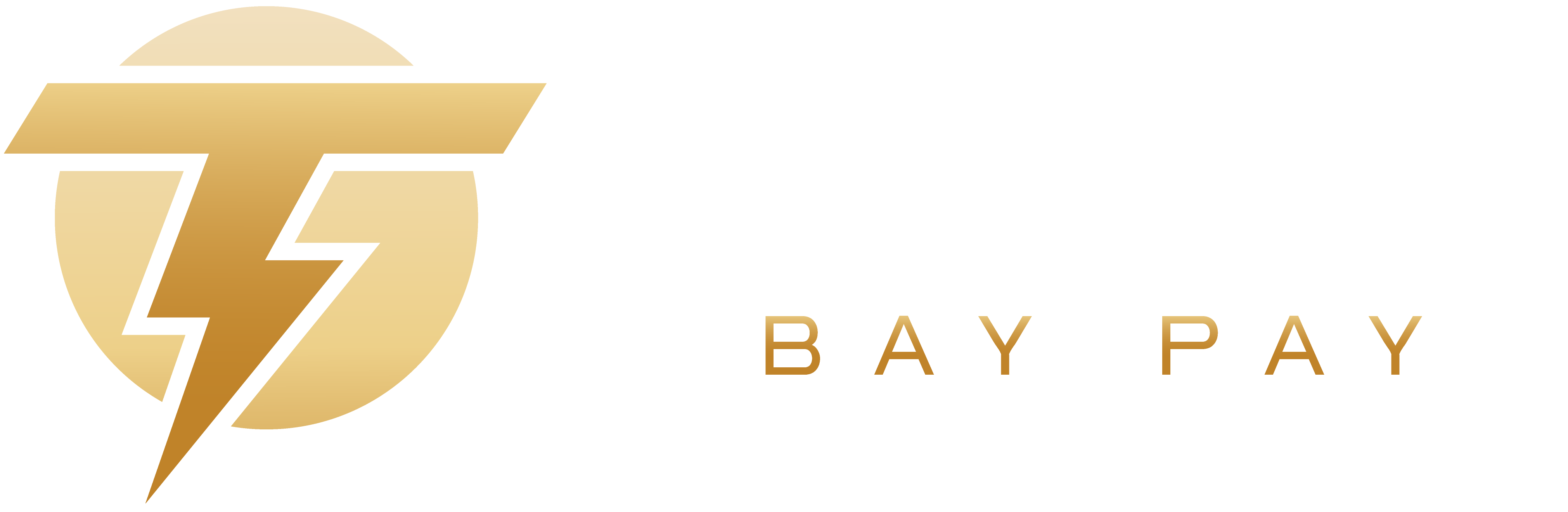 Tampa Bay Pay logo
