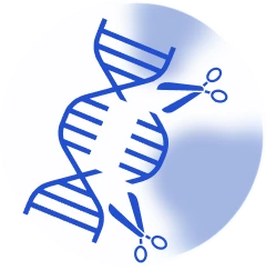 StromaGenesis