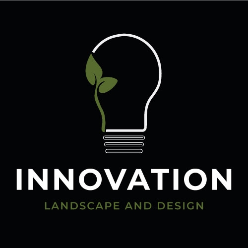 Innovation Landscape & Design
